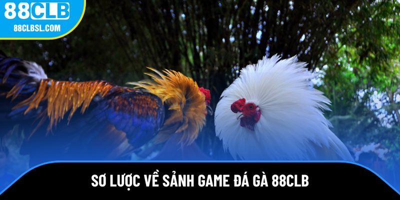 Giới thiệu về sảnh game đá gà 88CLB Giới thiệu về sảnh game đá gà 88CLB